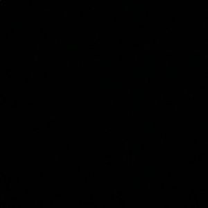 Meet your Posher, Lily may